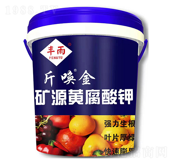 �VԴ�S�����-���-�S��