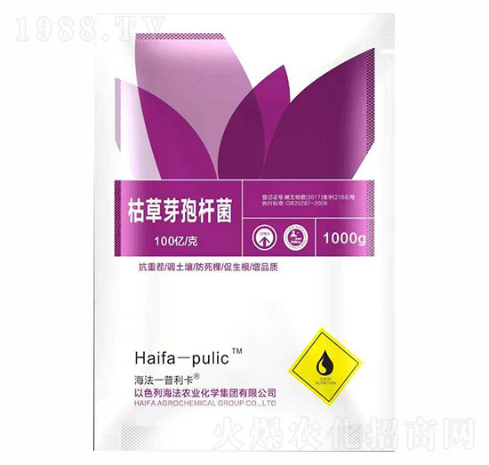 �ݲ�ѿ�ߗU��-������