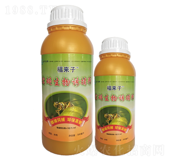 �r��΢�������-���~����