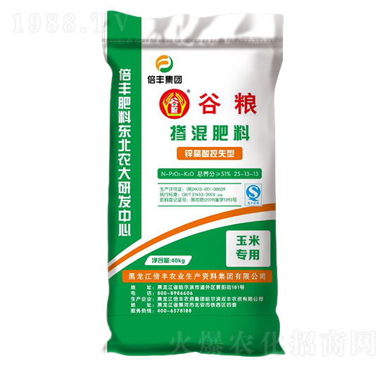 �����\�����ʧ�͓������25-13-13-�ȼZ-���S�r�I(y��)