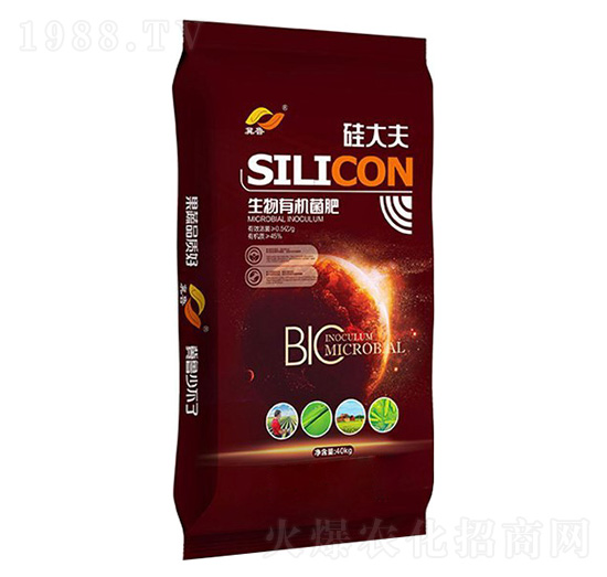 �����ЙC(j��)����-����-�����ʘI(y��)