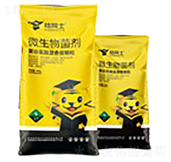 �w��΢�������-��Ժʿ-���A�r��