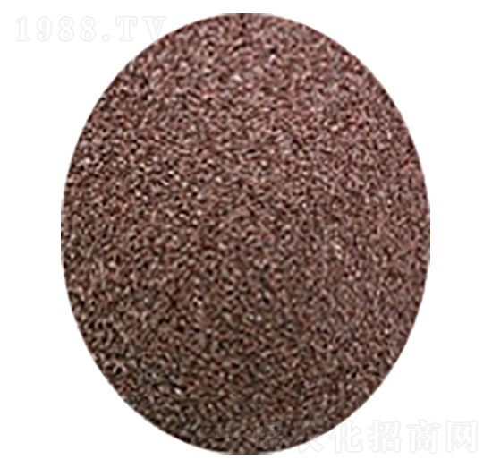 �o�X������������-��(chu��ng)֮�G���B(t��i)