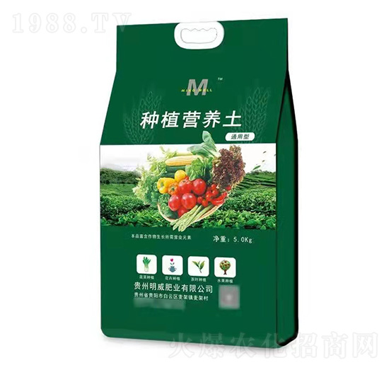 �ЙC(j��)�I(y��ng)�B(y��ng)��-�����ʘI(y��)