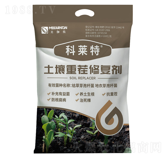 �����ز��ޏ̈́�-���R��-��٤�z