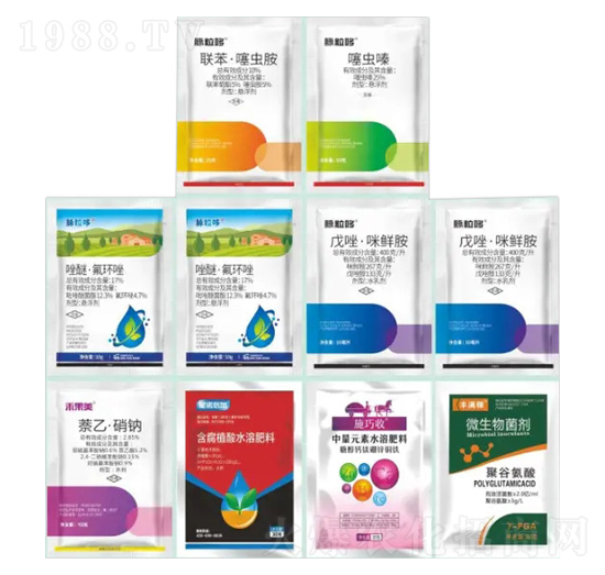 С���߮a����-�}����-�Z�����r�I(y��)