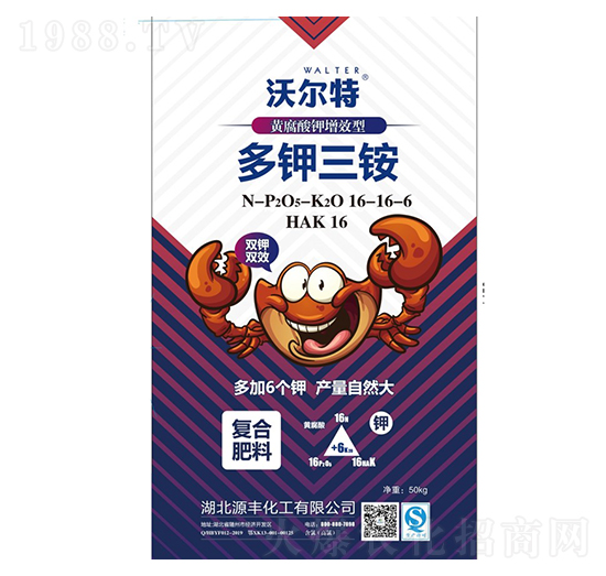 �S�������Ч�Ͷ�����@16-16-6-�֠���-Դ�S����