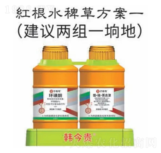 �t��ˮ�޲ݷ���-�n���F-�n�ѻ��W(xu��)