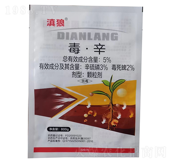 5%�������w����-����-�G������