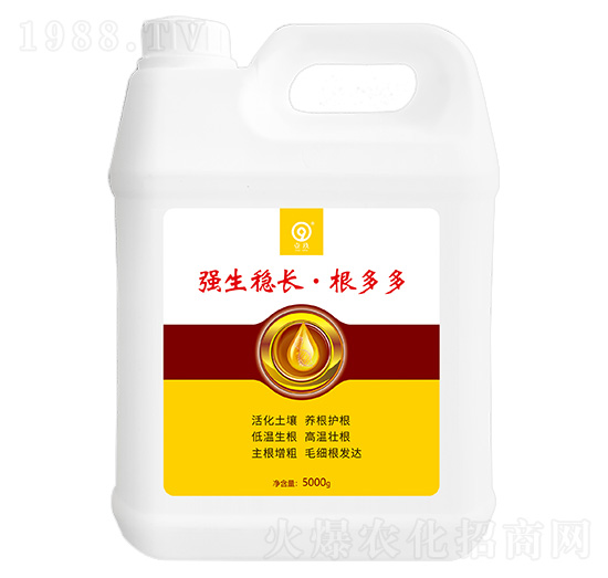 ������(w��n)�L�������-���S�Ƽ�