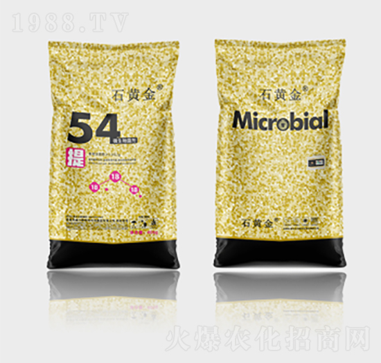 ʯ�S��΢�������54��