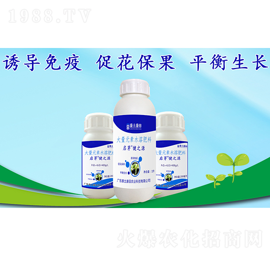 ��֮Դ-��ѿ-��������