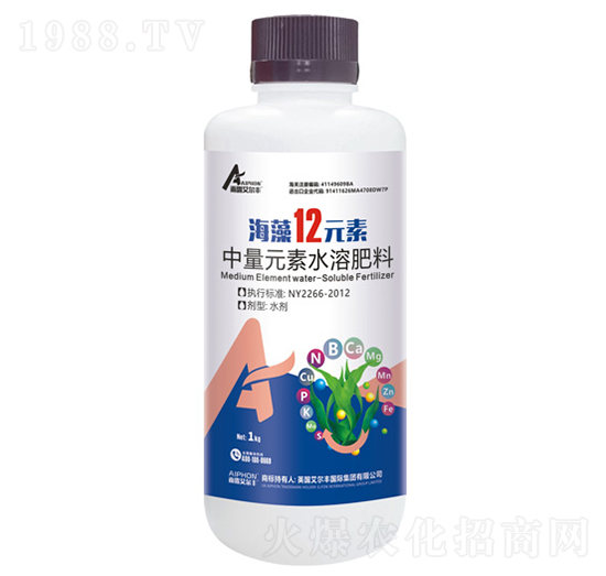 ����12Ԫ��-���R��-��¶�����S