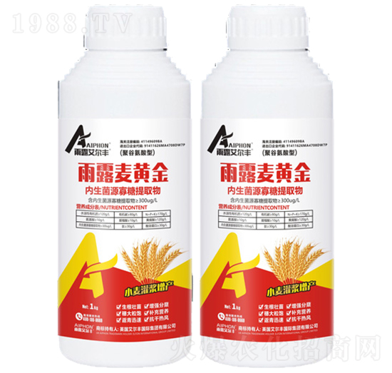 ��¶���S��-��¶�����S