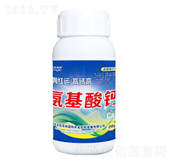 ���}�߰������}-�͝��r�I(y��)