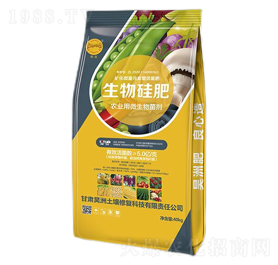 ������-��������ޏ�