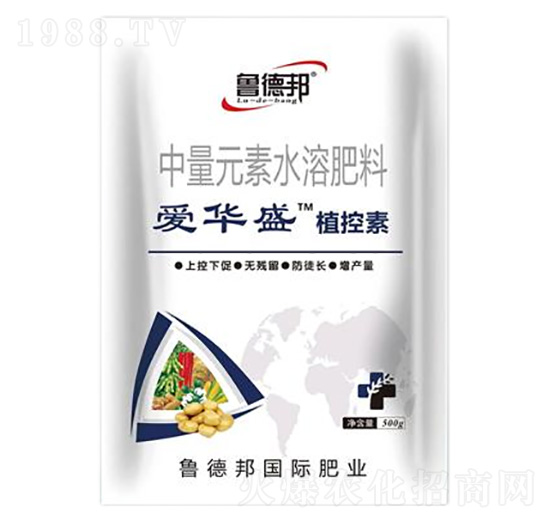 ����Ԫ��ˮ�ܷ���-���Aʢ��ֲ����-��?sh��)°? style=