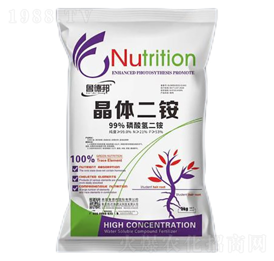 5kg���w���@-���°�