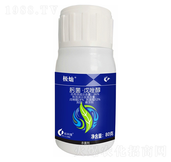 36%뿾�������-�O�N������(j��)�棩-����¡����