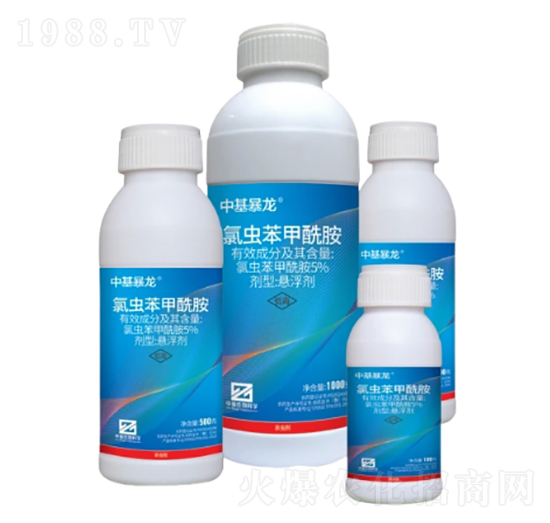 5%���x(ch��ng)���������Ҹ�����SC��-�л�����-�л�����ƌW(xu��)