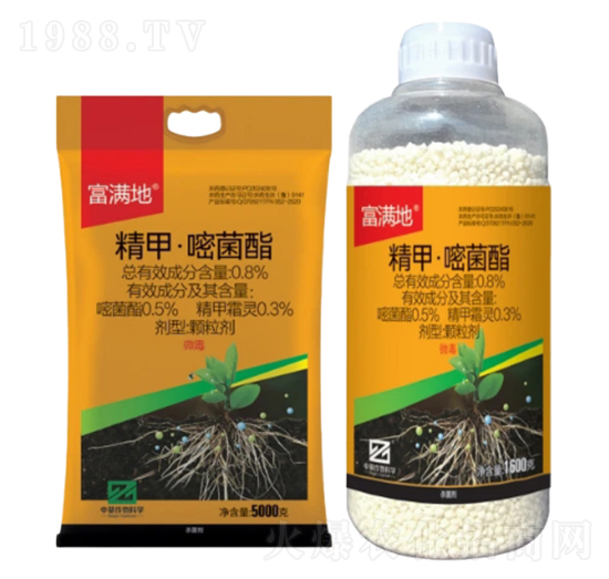 0.8%���ס��׾����w������GR��-���M(m��n)��-�л�����ƌW(xu��)