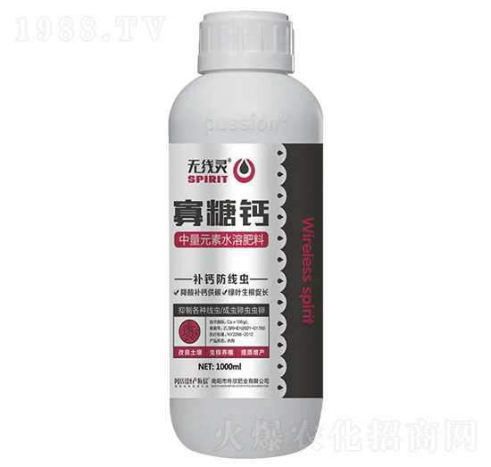 �����}-�o(w��)��(xi��n)�`-�����ʘI(y��)