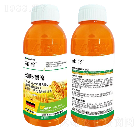 10%���׻�¡-����-�f(w��n)��