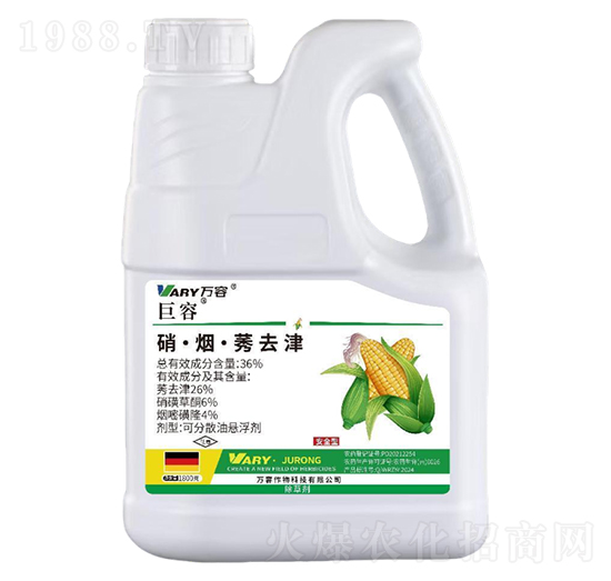 36%��������ݬȥ��1800g-����-�f��