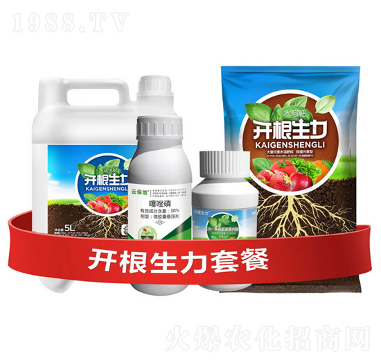 �_�������ײ�H-�ƴ�Ƽ�