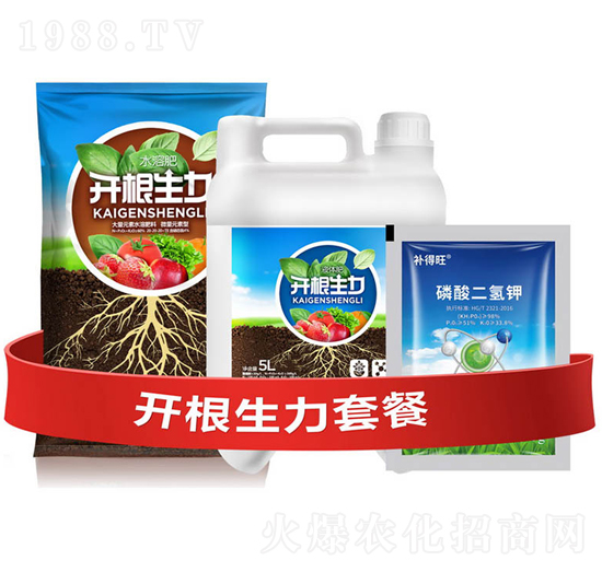 �_�������ײ�D-�ƴ�Ƽ�