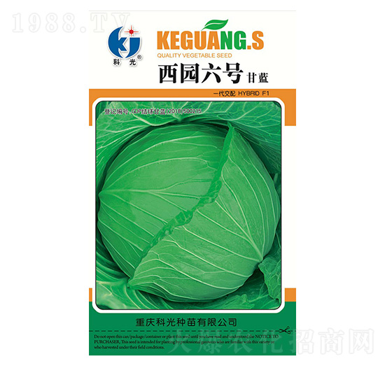 ���@��̖(h��o)-�ƹ�N��