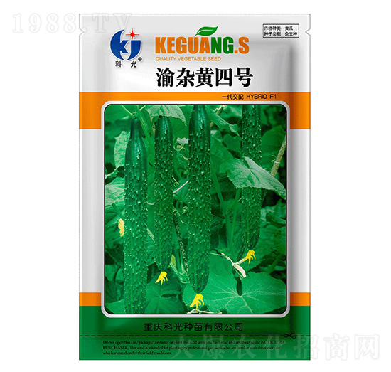 ���s�S4̖(h��o)-�ƹ�N��