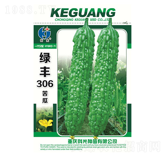 �G�S306-�ƹ�N��