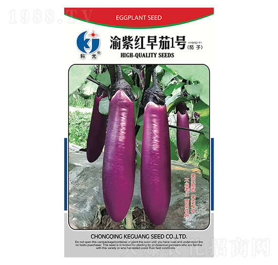 渝紫紅早茄1號-科光種苗