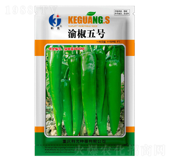 �彷5̖-�ƹ�N��