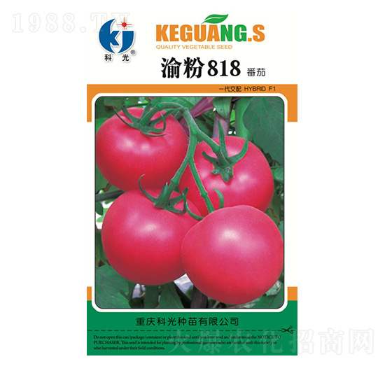 ���818-�ƹ�N��