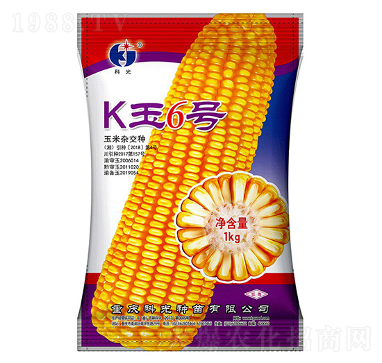 K��6̖-�ƹ�N��