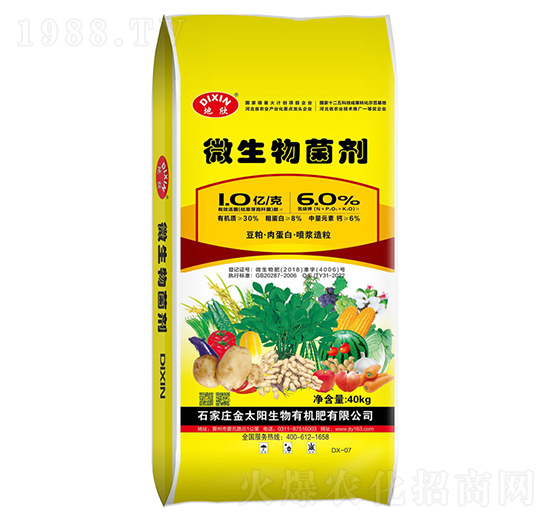 1�|΢�����������(n��i)�����S���ػ��|(zh��)�����T�����ᣩ-����-��̫�(y��ng)