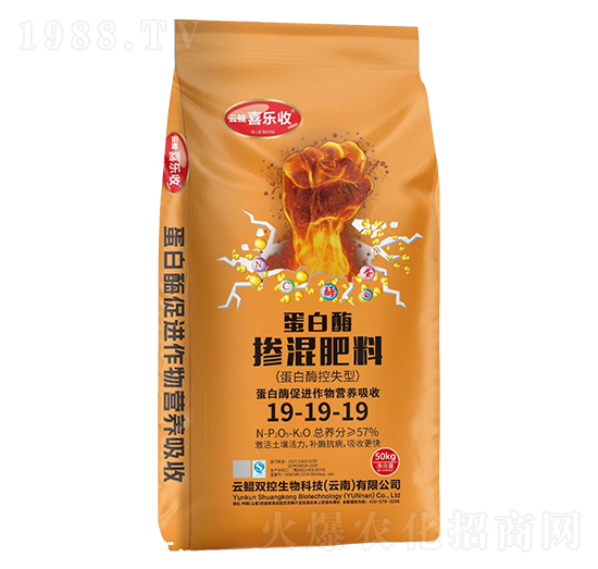 ����ø�������19-19-19-�t̫�