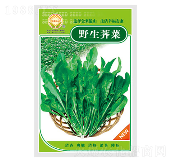 薺菜種子-野生薺菜-太樂(lè)種業(yè)