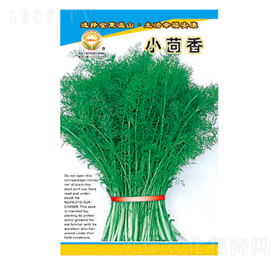 С����-̫��(l��)�N�I(y��)