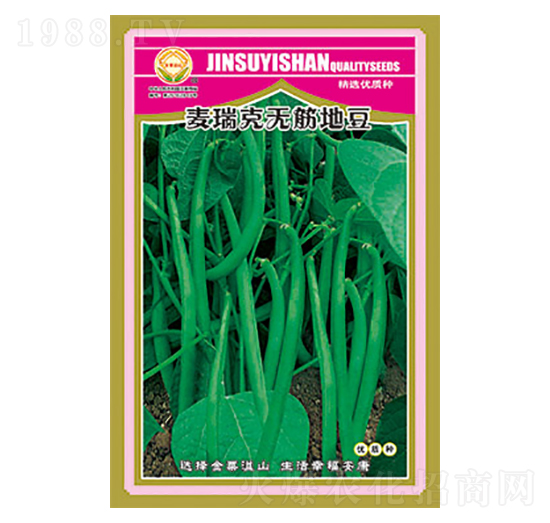 豇豆種子-麥瑞克無筋地豆-太樂種業(yè)