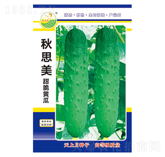 �S�ϷN��-��˼��-̫���N�I(y��)