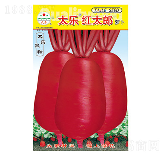 蘿卜種子-太樂(lè)紅太郎-太樂(lè)種業(yè)