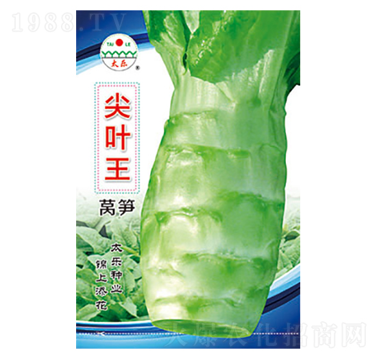 �n�S�N��-���~��-̫���N�I(y��)