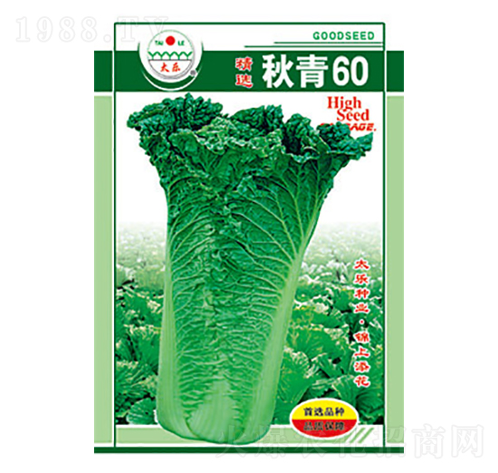 �ײ˷N��-����60-̫��(l��)�N�I(y��)