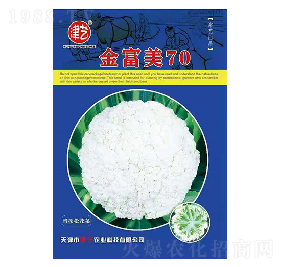花菜種子-金富美70-邯豐農(nóng)業(yè)
