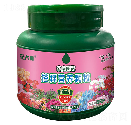 �����ͼ�ͥ�@ˇ��ጠI(y��ng)�B(y��ng)�w��-����-�G�ַʘI(y��)