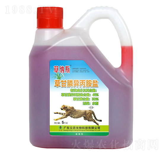 41%�ݸ�좮������}����s�ͣ�-�ݼ{˹-�V�|���r(n��ng)