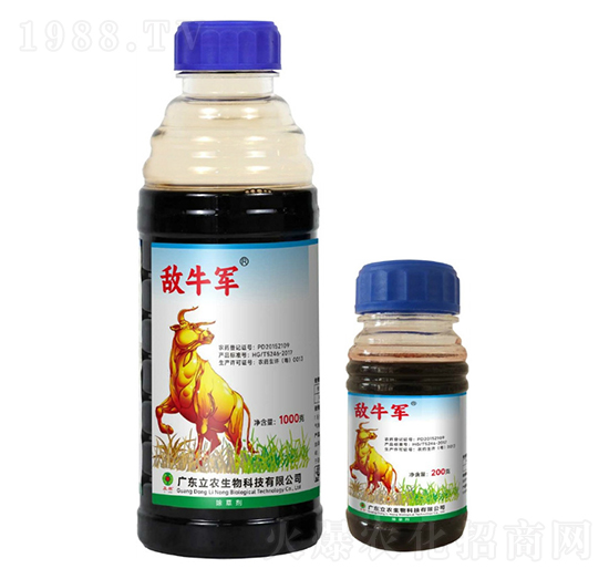 20%���ݿ�-��ţ܊-�V�|���r